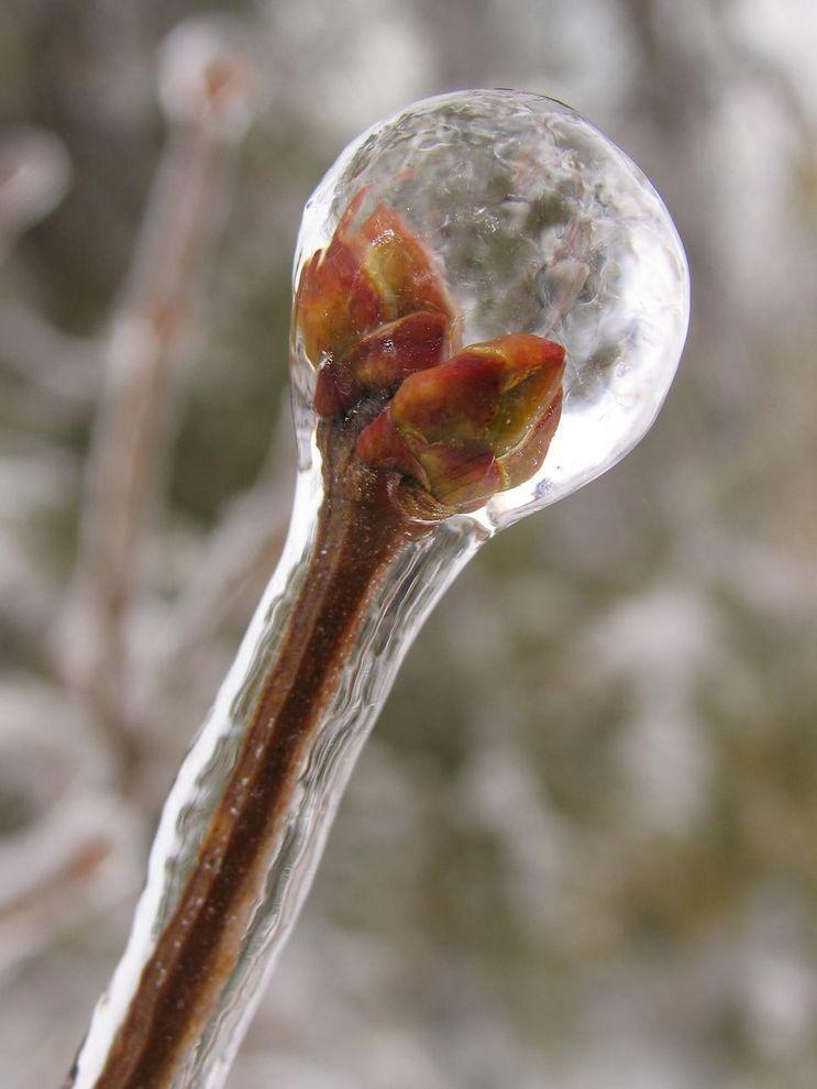 Картинки красивые фото зимы (170 фото) 🔥 Прикольные картинки и юмор