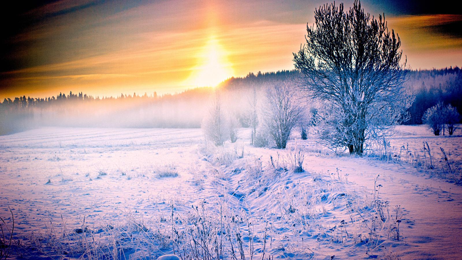 Картинки деревья, дорога, зима, лес, небо, природа, снег, солнце,  широкоформатные - обои 1600x900, картинка №129704
