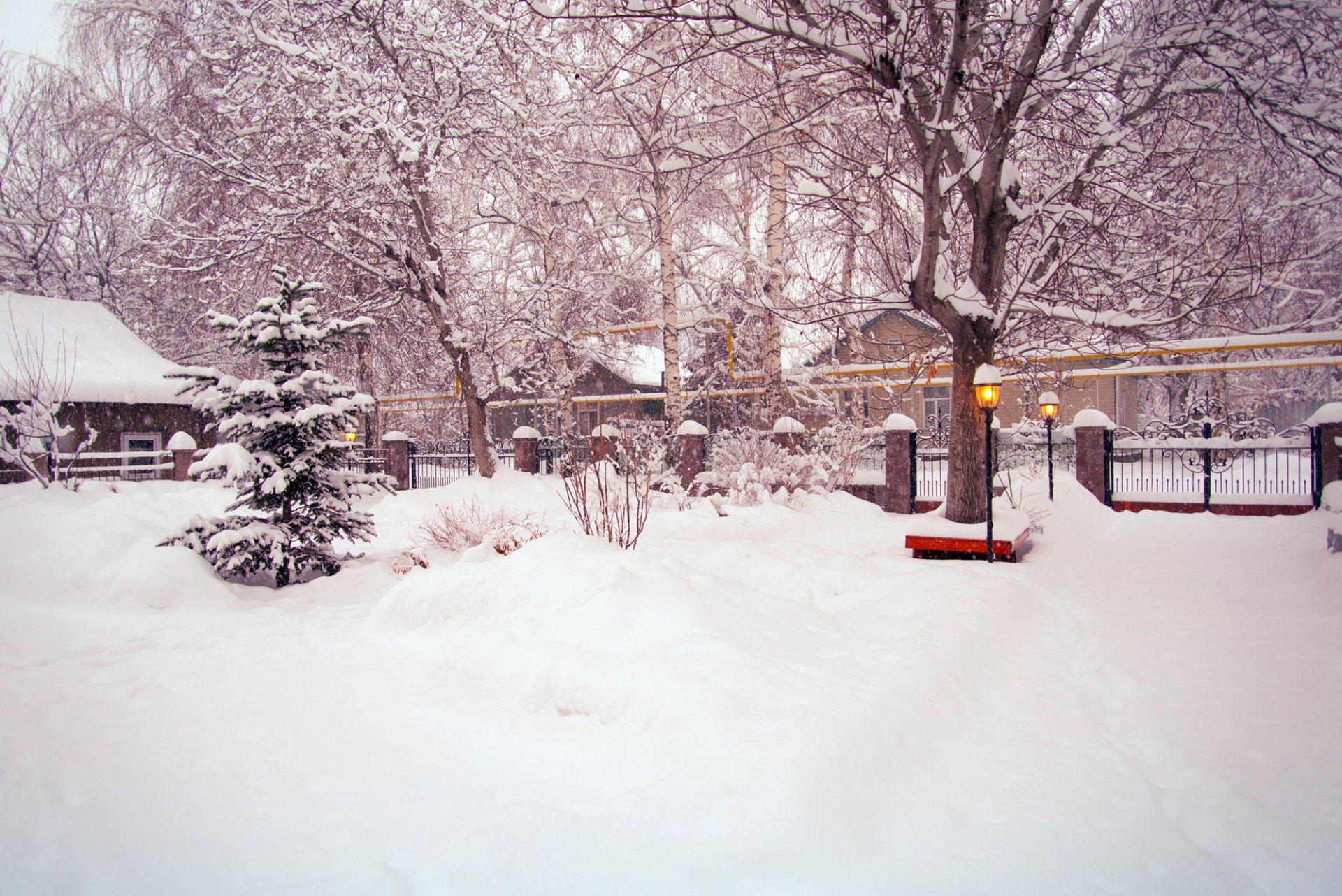 Обои Свежесть зимы, картинки - Обои для рабочего стола Свежесть зимы фото  из альбома: (праздники)