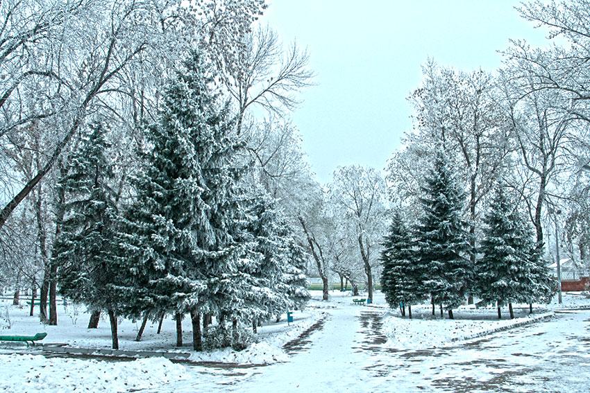 Сказочная зима» 2024, Нурлатский район — дата и место проведения, программа  мероприятия.