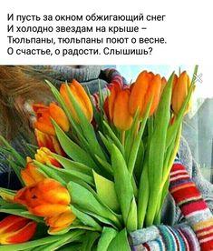Скоро весна! | СНТ «КРАСКОВО»