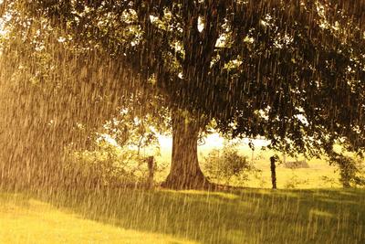 Добрый кассир + слепой дождь! | Пикабу