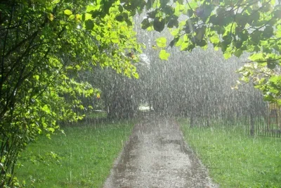 слепой дождь :: юрий иванов – Социальная сеть ФотоКто
