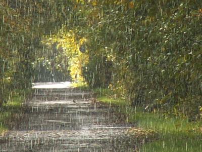 Слепой дождь, который не доходит до земли | Поэзия и проза жизни (Фархад) |  Дзен