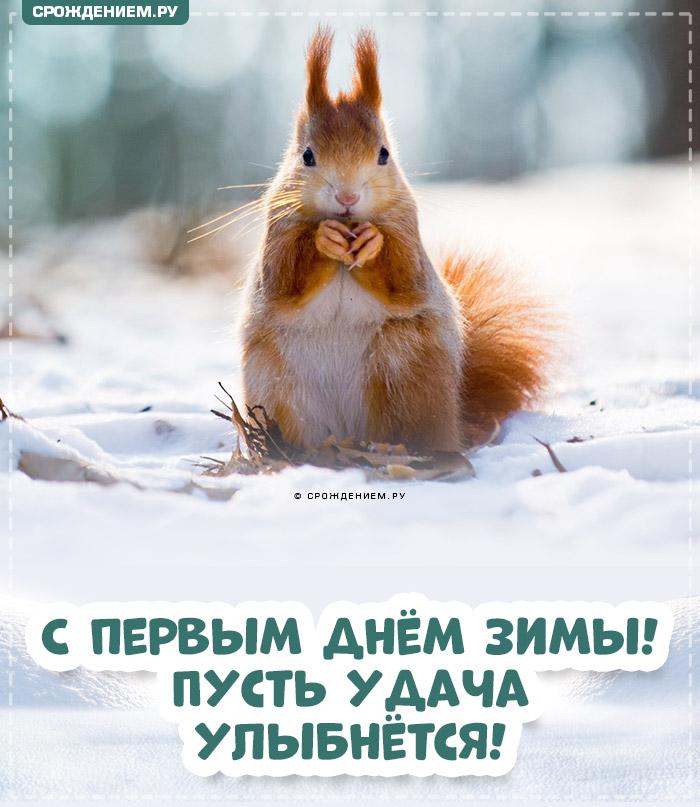 Первый день зимы (смешные фото питомцев!!!) | PetGlobals.com | Дзен