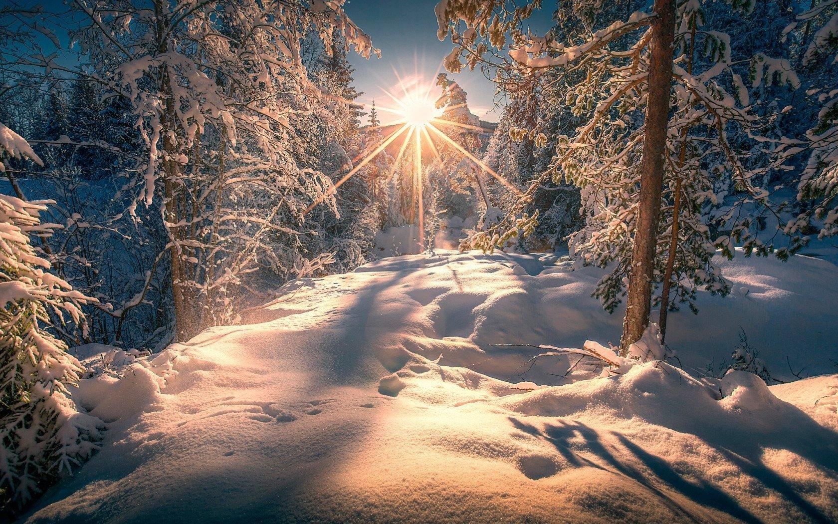 Солнце Зима Снег - Бесплатное фото на Pixabay - Pixabay