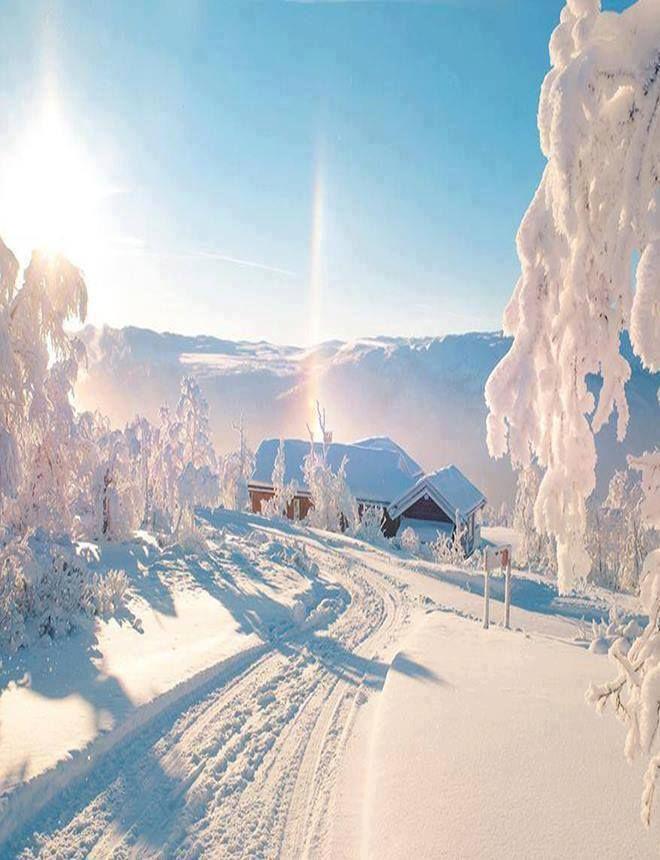 Солнечная Зима — стоковые фотографии и другие картинки Без людей - Без  людей, Время года, Германия - iStock