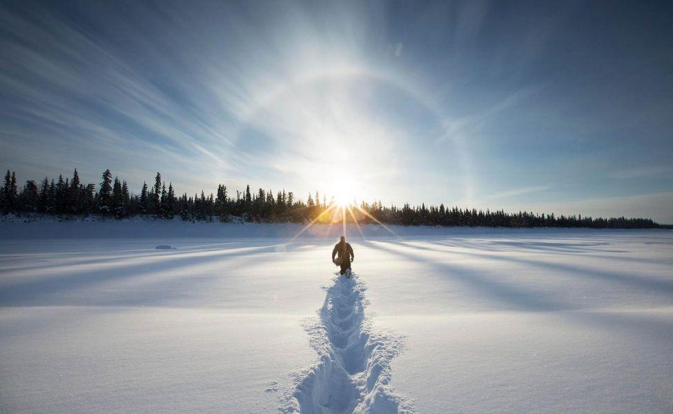 Картинка Лучи света ели зимние Солнце Природа Снег сезон года