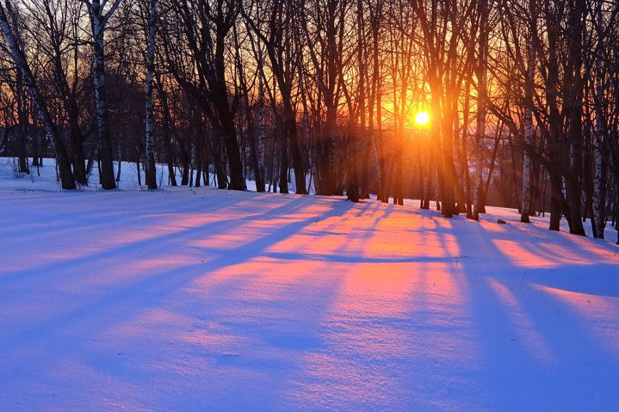 Красивая солнечная зима» — создано в Шедевруме