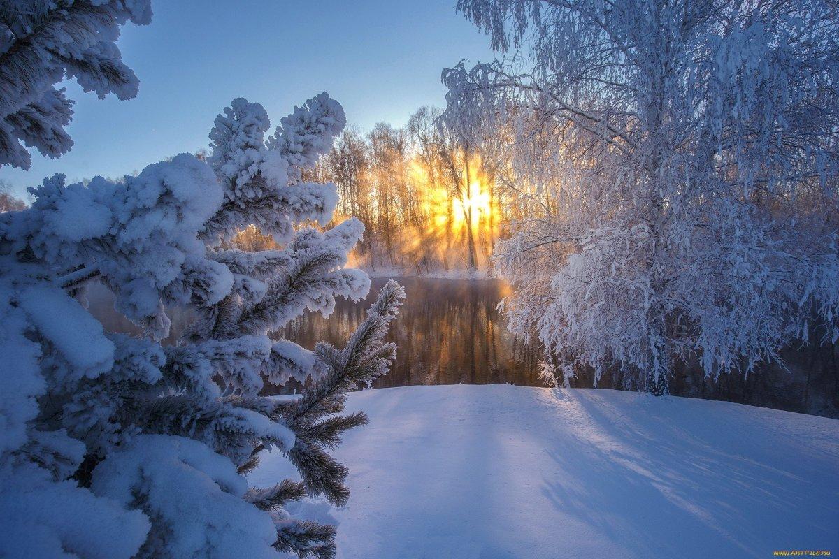 зимнее солнце. Фотограф Алексей Черепанов
