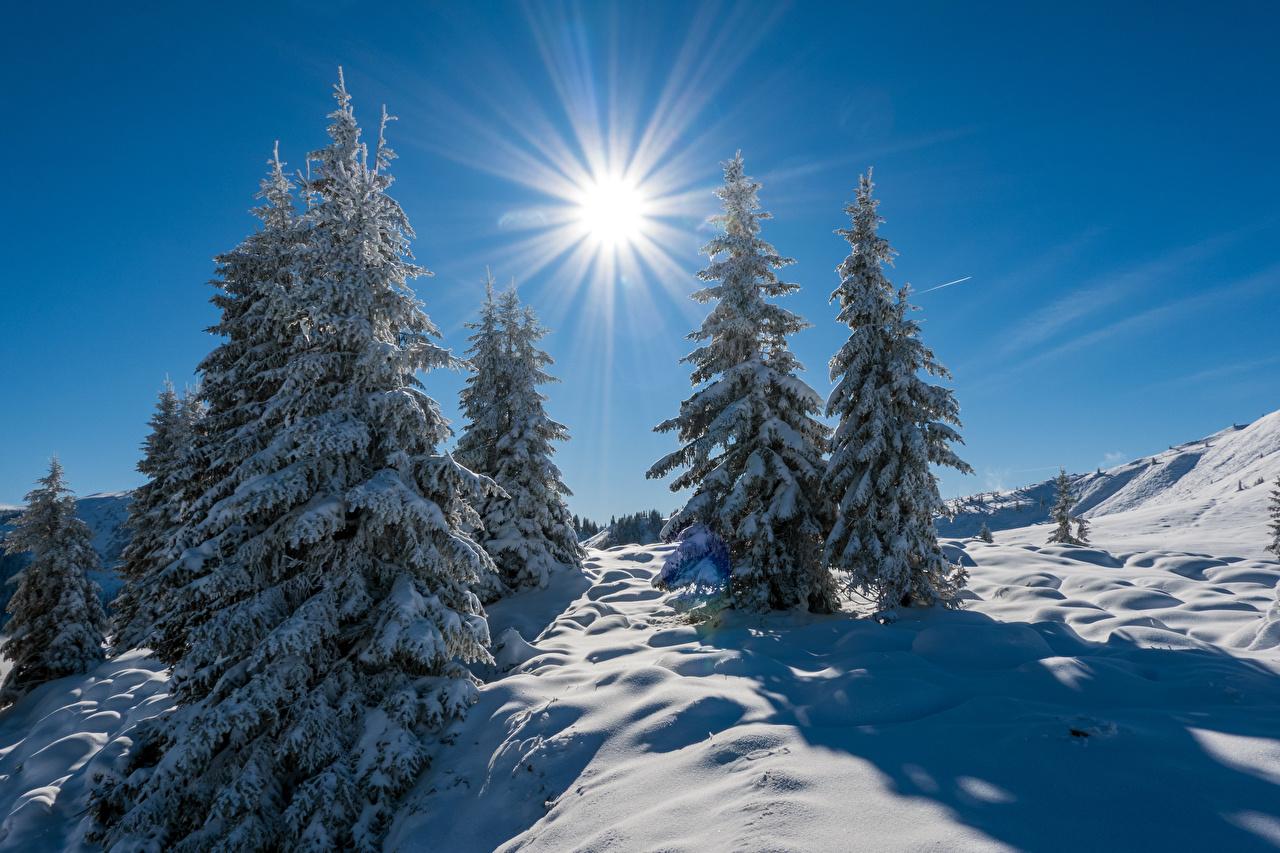 Солнечная зима - 81 фото