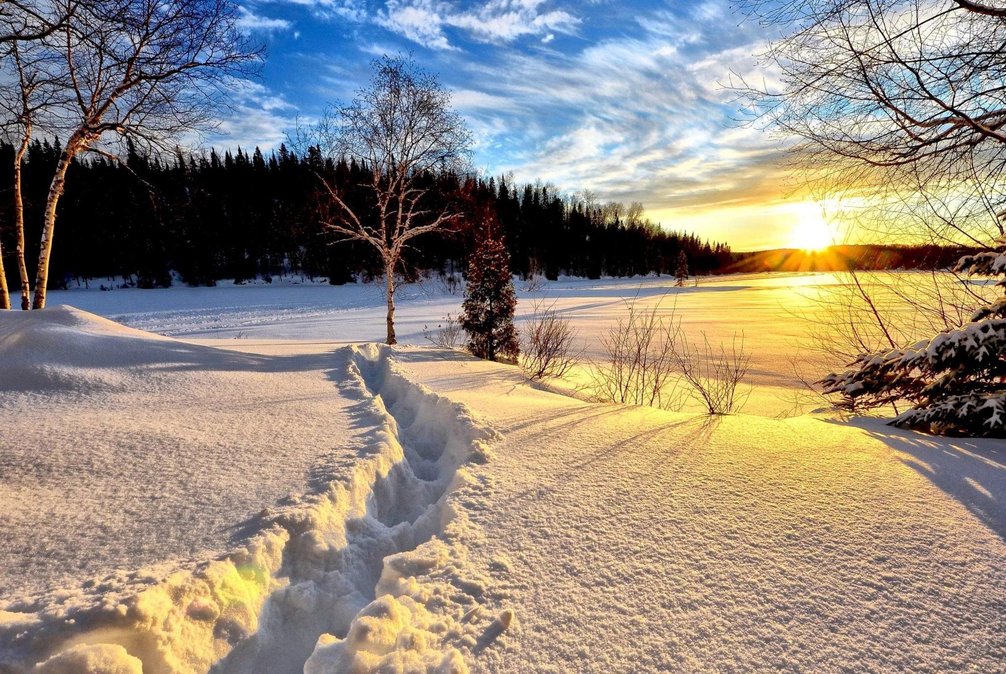 Зима Солнце Снег - Бесплатное фото на Pixabay - Pixabay