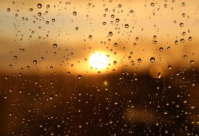 картинки : воды, падение, солнце, Восход, закат солнца, утро, дождь, лист,  окно, стакан, влажный, Размышления, Погода, круг, капли дождя,  Замораживание, Макросъемка 2048x3072 - - 1152912 - красивые картинки -  PxHere