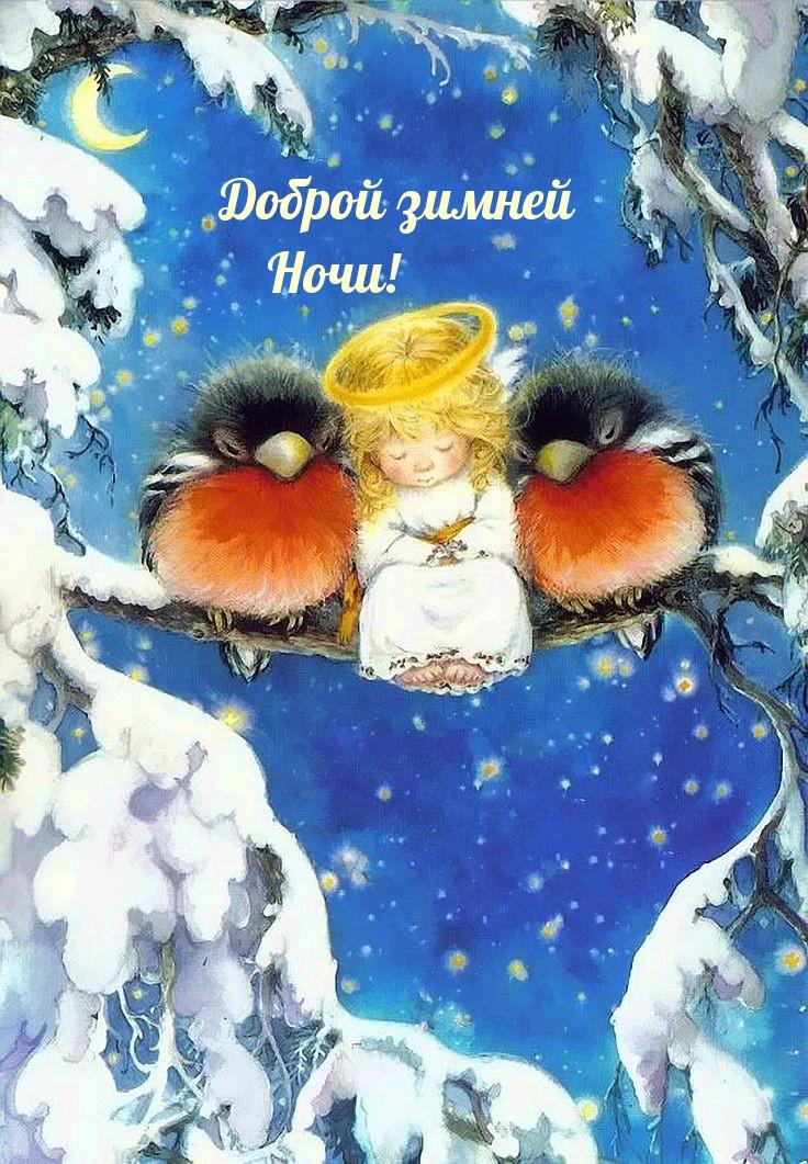 Картинка - Спокойной ночи зимы!.