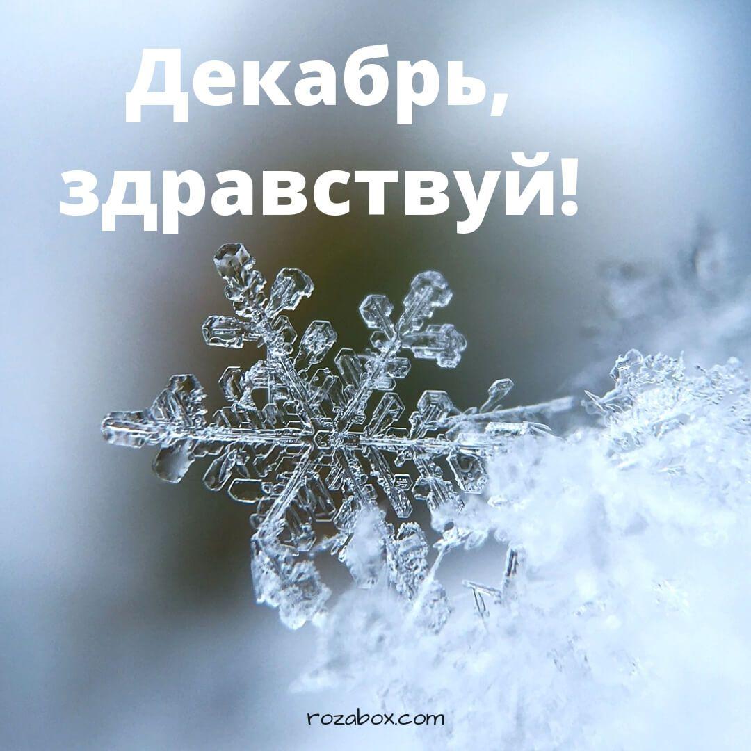 Стихотворение про зиму (54 лучших фото)