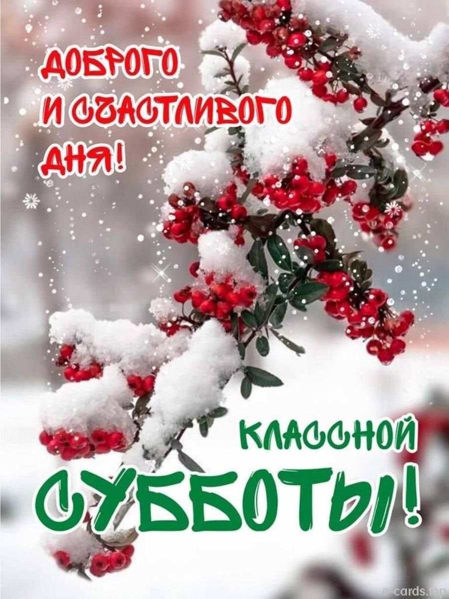 доброе утро субботы открытки зимние ёлочка｜Поиск в TikTok