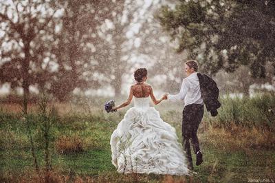 Свадебная фотосессия под дождем - свадебная статья, 31 августа 2015