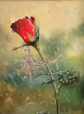 Цветы под дождём :: Андрей Майоров – Социальная сеть ФотоКто