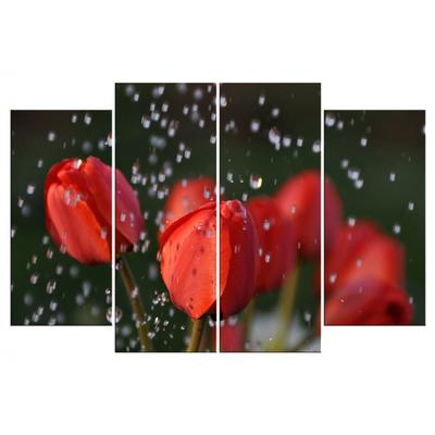 Лепестки Розовых Роз В Каплях Дождя Розы В Каплях Воды Красивые Цветы Под  Дождем — стоковые фотографии и другие картинки Без людей - iStock