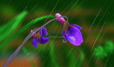 Цветок под дождем - цветы картинки и открытки БестГиф