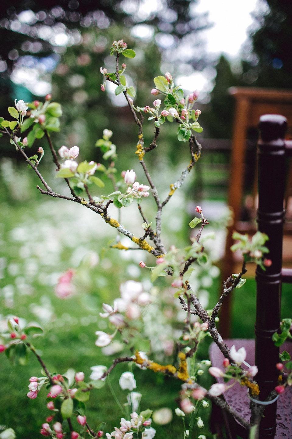 Милые Девушки — стоковые фотографии и другие картинки Весна - Весна,  Красавица, Цветок - iStock