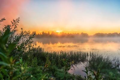 Красивый утренний рассвет (58 фото) - 58 фото