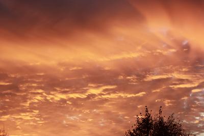 Панорамный утренний рассвет над рекой Боу Стоковое Фото - изображение  насчитывающей день, живо: 160601618