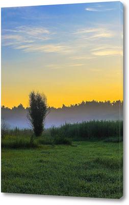 Утро #своифото, #пейзаж, #природа, #утро, #рассвет, #дерев… | Flickr