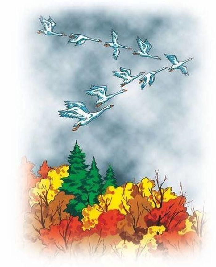 Поэтический час «Уж небо осенью дышало». 2023, Воловский район — дата и  место проведения, программа мероприятия.