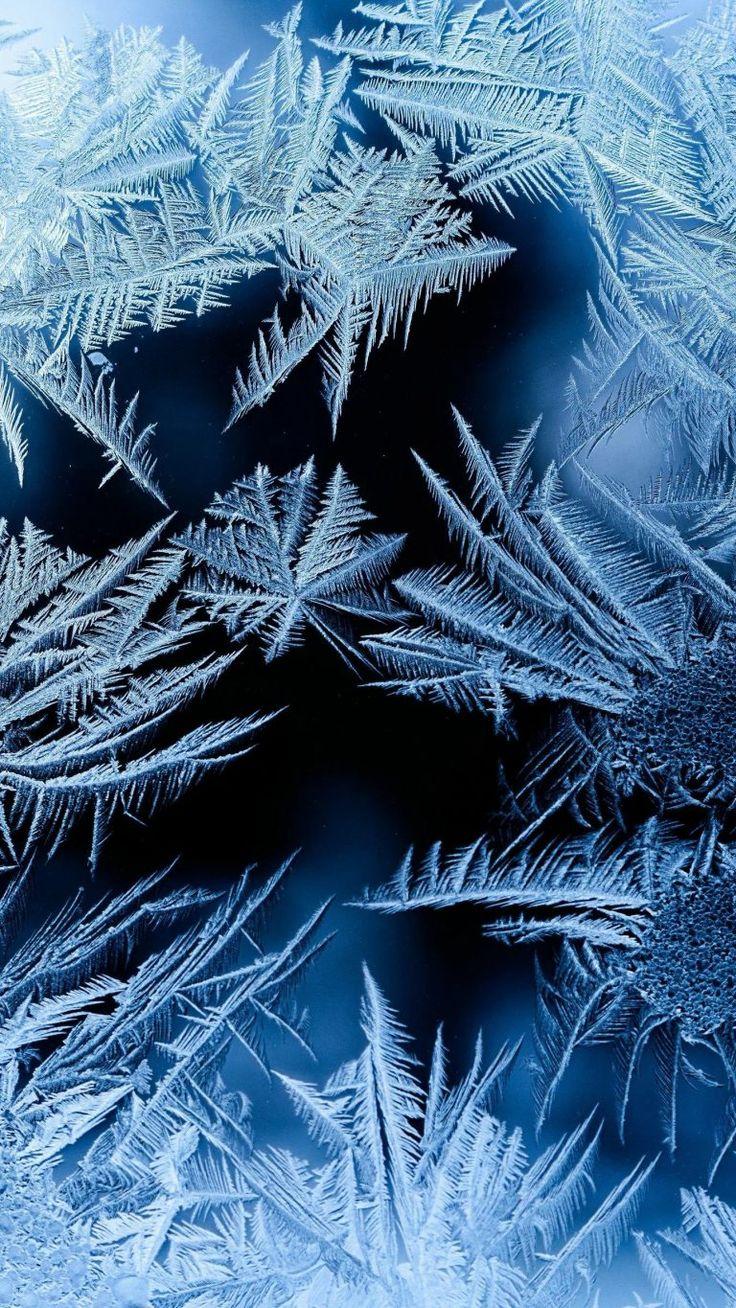 Вертикальные картинки зима фотографии