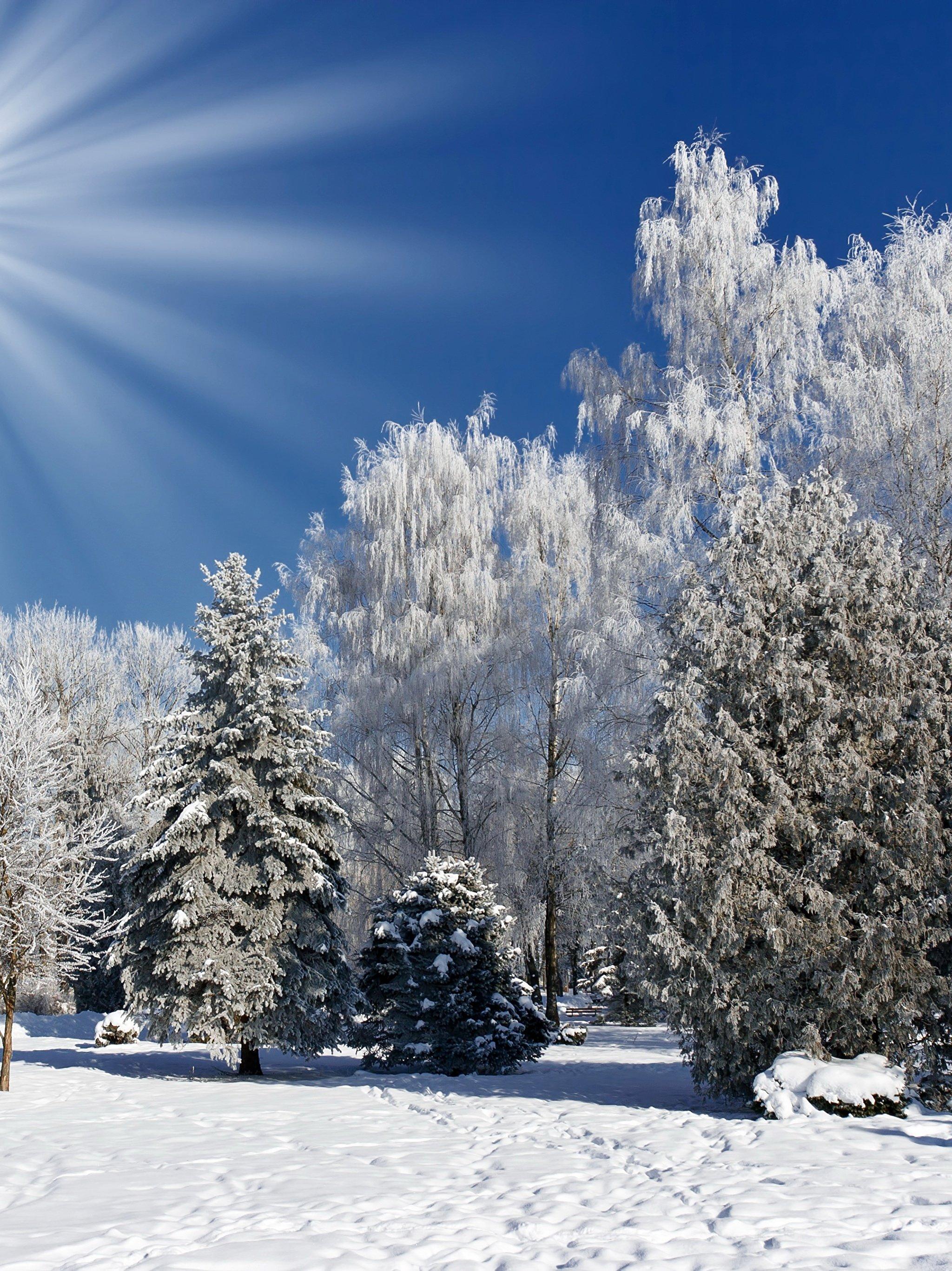 Зима вертикальные картинки: фото, изображения и картинки
