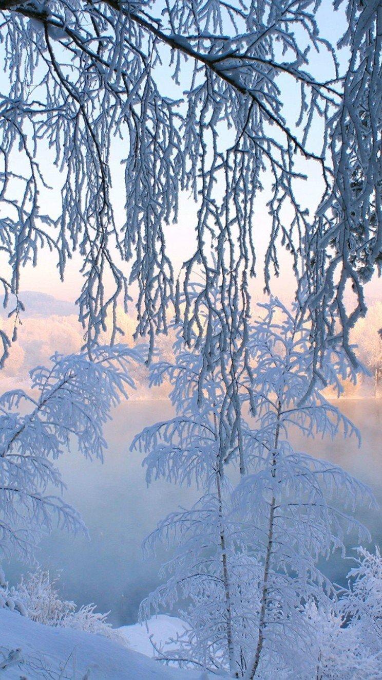 Зима вертикальные - красивые фото
