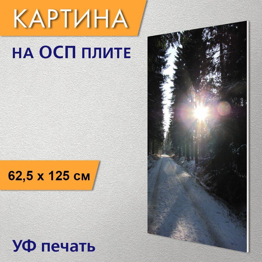 Зимний фон вертикальный - фото и картинки: 64 штук