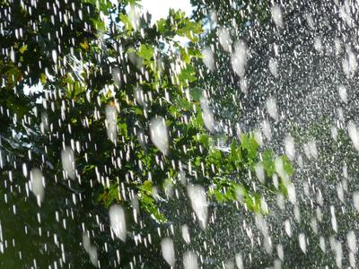 Весенний дождь - просто красиво. | Facebook