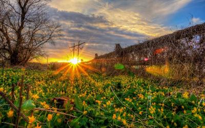 Весенний рассвет. Photographer Evgeniy Patreshov