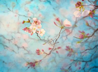 Рисунки весна в природе - 71 фото