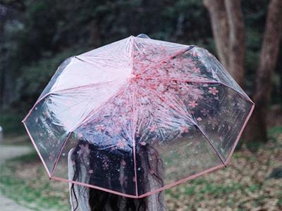Бесплатные Весенний дождь 1 стоковые фотографии | FreeImages