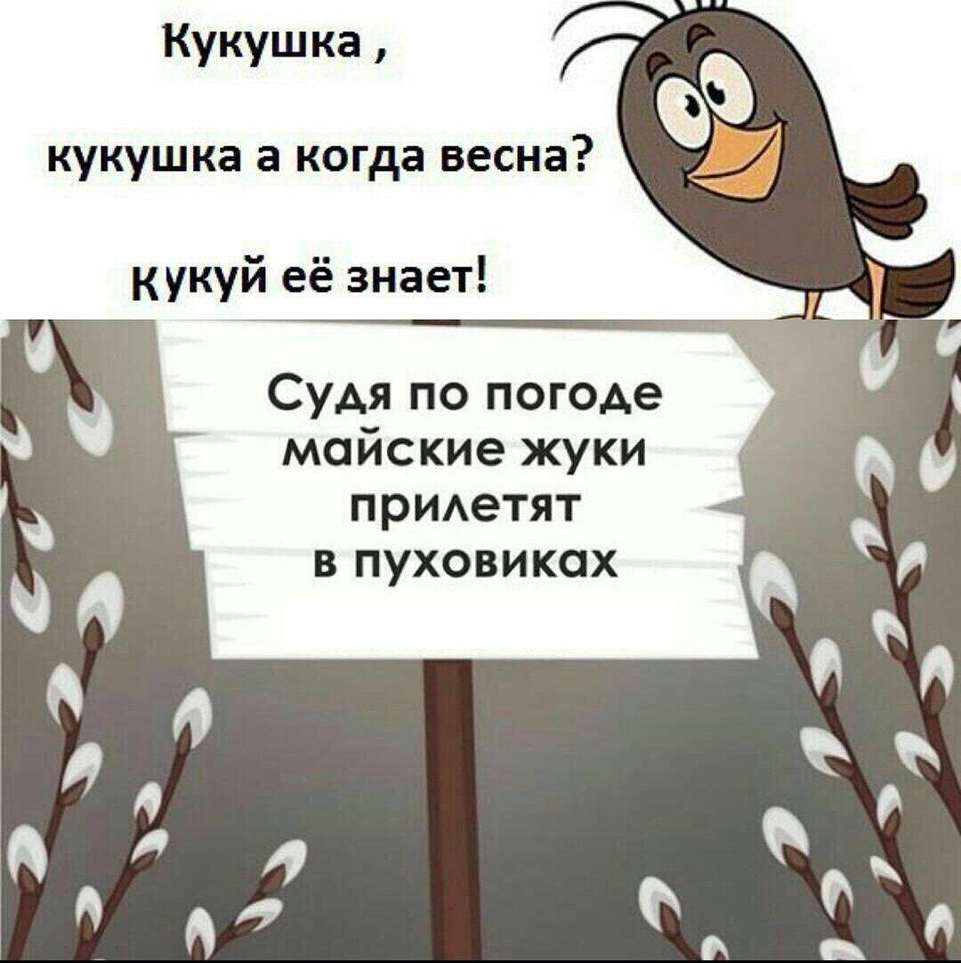 Противоречивые чувства 🥹 #мемы #русланмухтаров #весна #юмор #аллергия  #жиза #ржака | Instagram