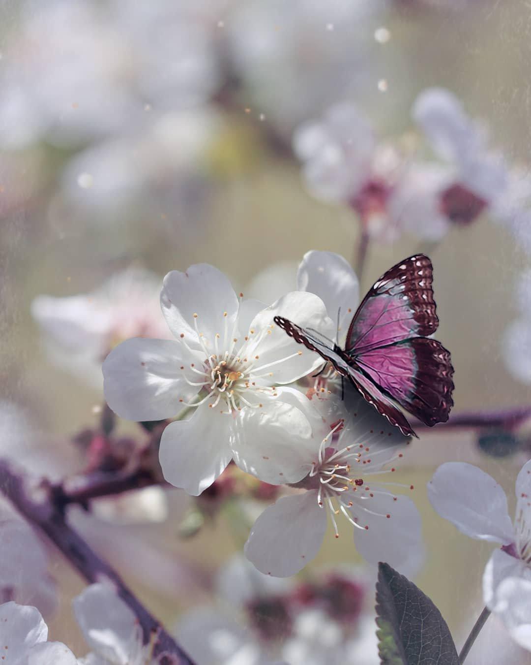 Картинки весна на аву (70 фото) » Картинки и статусы про окружающий мир  вокруг
