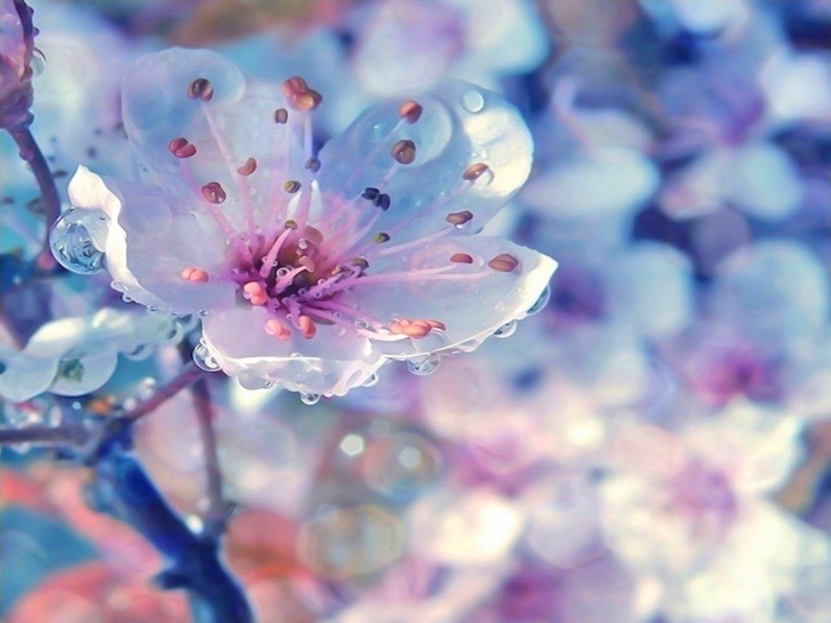 брюнетка весна на аву: 2 тыс изображений найдено в Яндекс Картинках