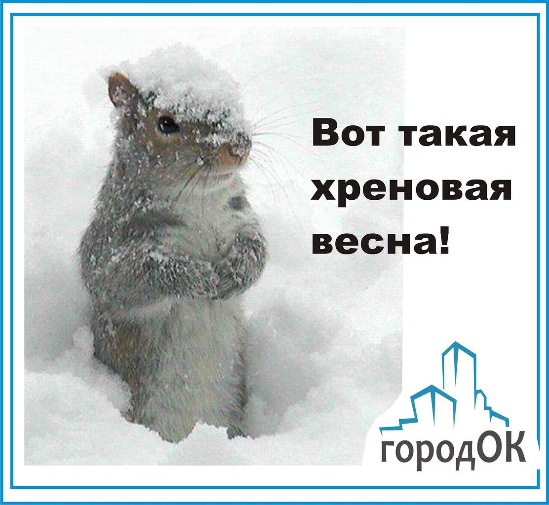 Киевский зоопарк показал фото животных весной | РБК Украина