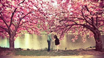 Любовь весной не случайна: erofotos — LiveJournal