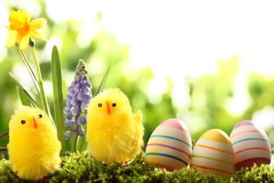 Пасхальный набор Светлая Пасха \"Весна\" - «Христос Воскресе! (красим яйца!  фотоотчет моих приготовлений!)» | отзывы