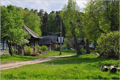 Фото - Весна в деревне - ФотоФорум.ру