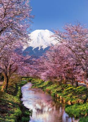 Пазл «Весна в Японии» из 1800 элементов | Собрать онлайн пазл №197478