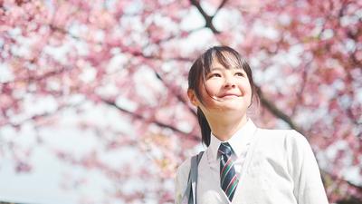 Скачать картинки Япония весна, стоковые фото Япония весна в хорошем  качестве | Depositphotos