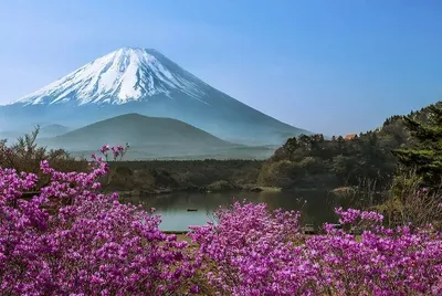 Ранняя весна в Японии - Japan Travel