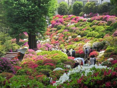 Обои город, япония, храм, небо, весна, сакура, цвет картинки на рабочий  стол, фото скачать бесплатно