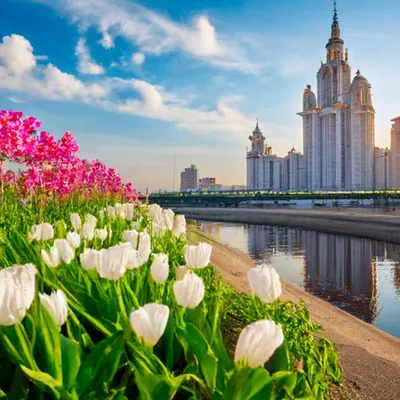 Весна в Москве: идеи для променада | Город для жизни Москва || yamoscow.ru  | Дзен