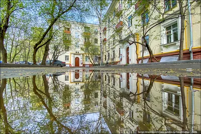 Красивая весна в Москве, несмотря на карантин. Минипутешествие по району по  пути в магазин | TravelManiac | Дзен